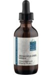 Wise_Woman_Herbals_Hyssopus_Officinalis_Hyssop_Full-scaled-1.jpg