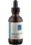 Wise Woman Herbals Motherwort Leonurus Cardiaca