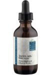 Wise Woman Herbals Red Sage (Formerly Salvia Miltiorrhiza Dan Shen)